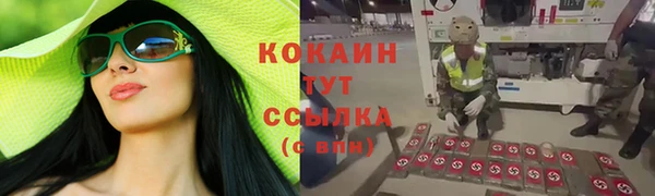 2c-b Белокуриха
