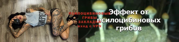 марки lsd Белоозёрский