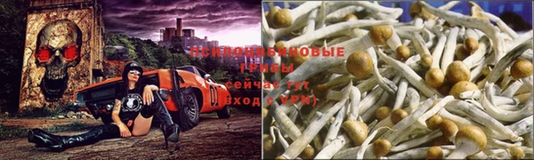 2c-b Белокуриха